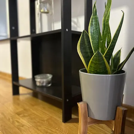 Apartament Charlie Aviv Park *